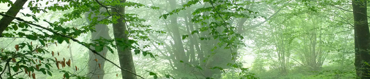 Permalien vers:Projet Patrimoine Naturel Permalien vers:Projet Patrimoine Naturel