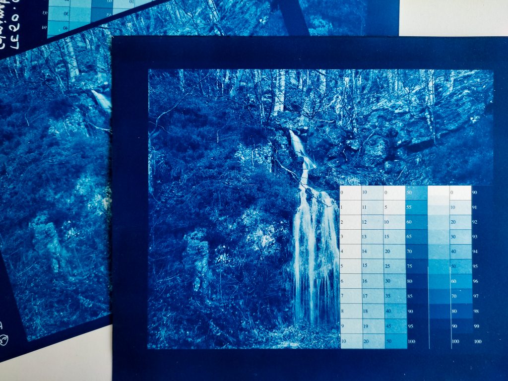 Formation pro cyanotype