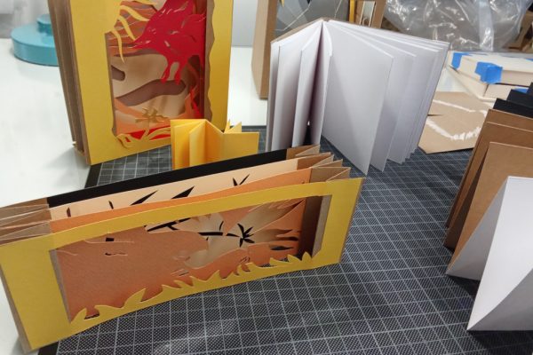 formation professionnelle en livre d'artiste du Labo Estampe