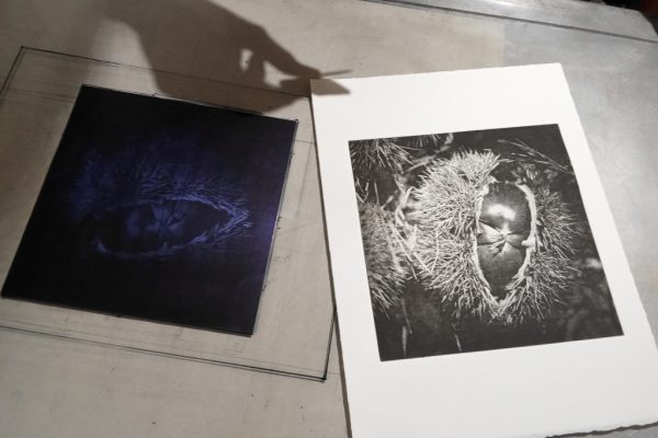 Formation professionnelle en photogravure de Labo Estampe