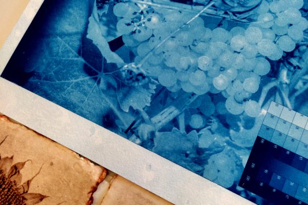 Formation professionnelle en cyanotype de Labo Estampe