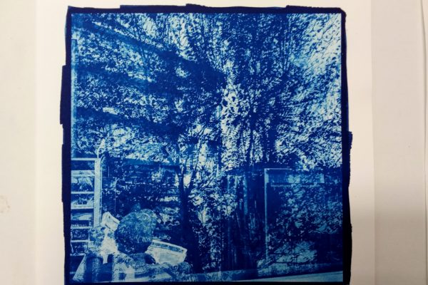 Formation professionnelle en cyanotype de Labo Estampe