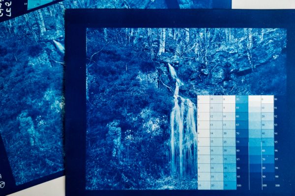 Formation professionnelle en cyanotype de Labo Estampe