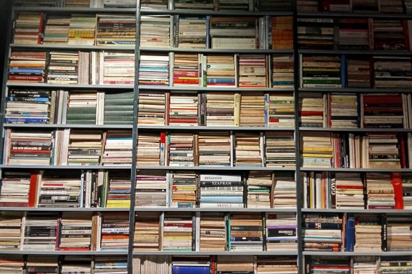 Formation professionnelle en lithographie perfectionnement avec Cora Texier à l'atelier du musée de l'imprimerie de Malesherbes.